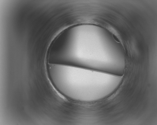 X0000070861141200606161004