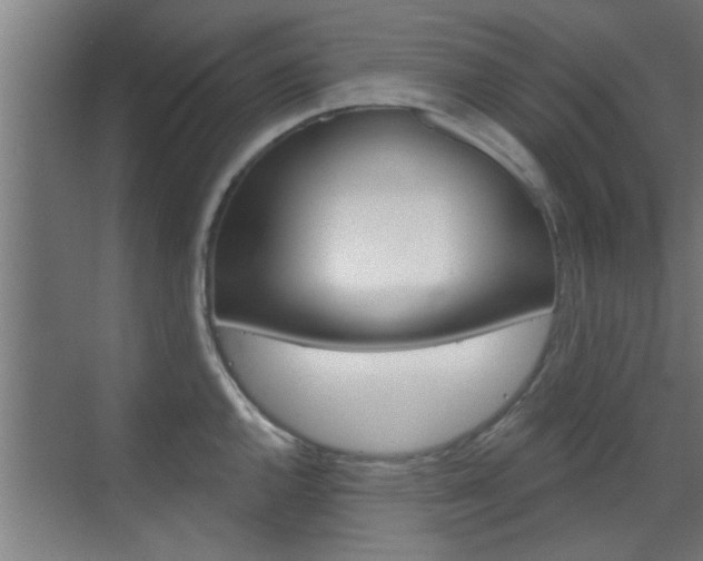 X0000070861144200606161004