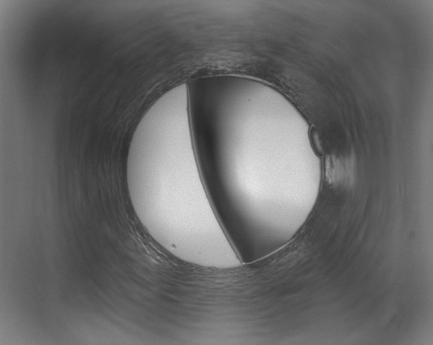 X0000070861155200606161003
