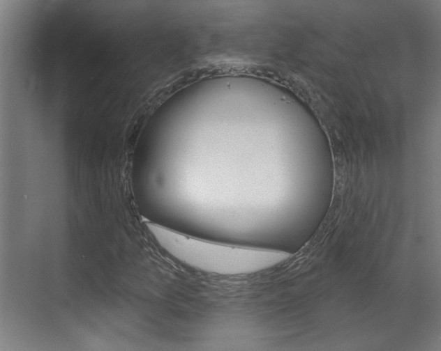 X0000070861157200606161003