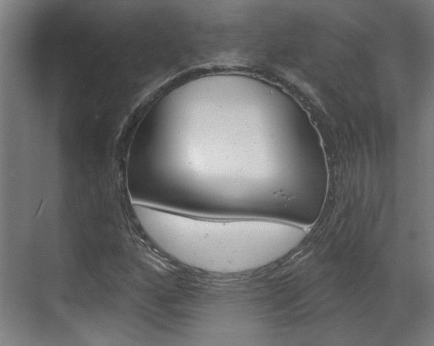 X0000070861160200606161003