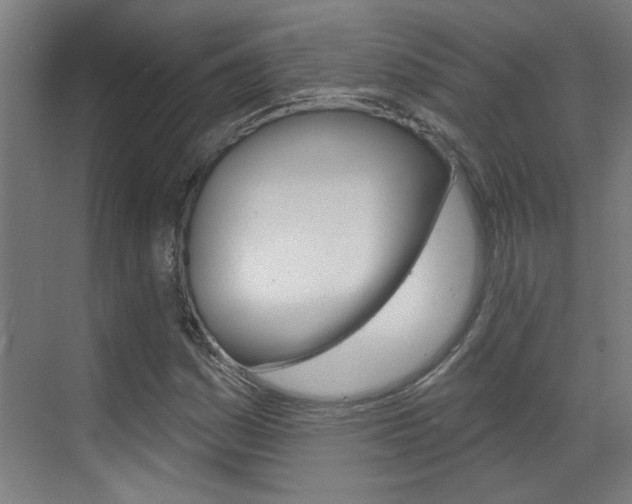 X0000070861161200606161003
