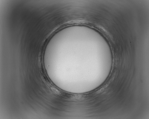 X0000070861162200606161003