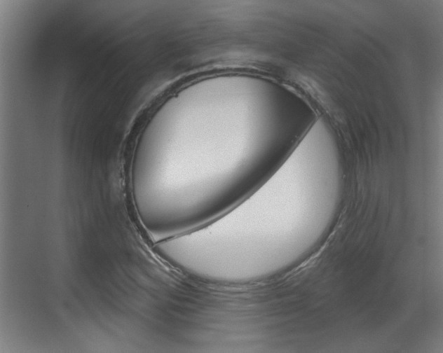 X0000070861164200606161003