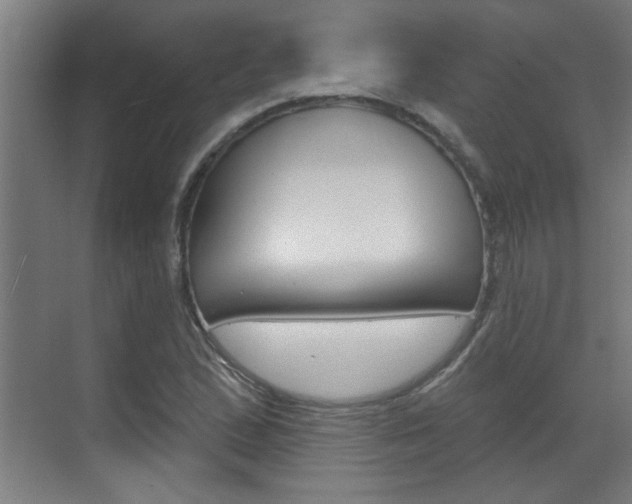 X0000070861167200606161003