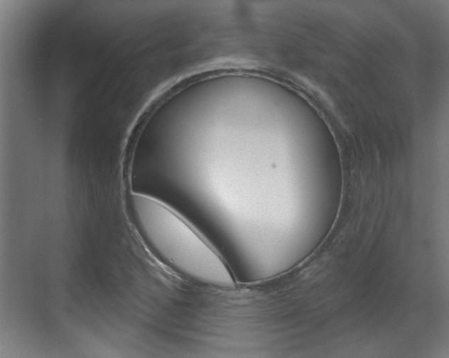X0000070861168200606161003
