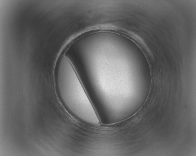 X0000070861176200606161003