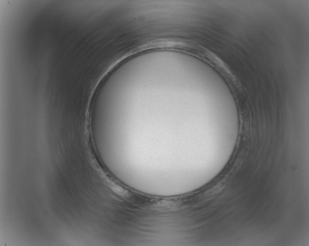 X0000070861178200606161003