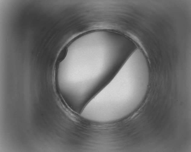 X0000070861179200606161003