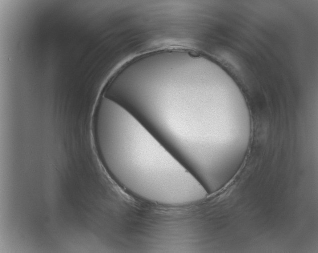 X0000070861182200606161003