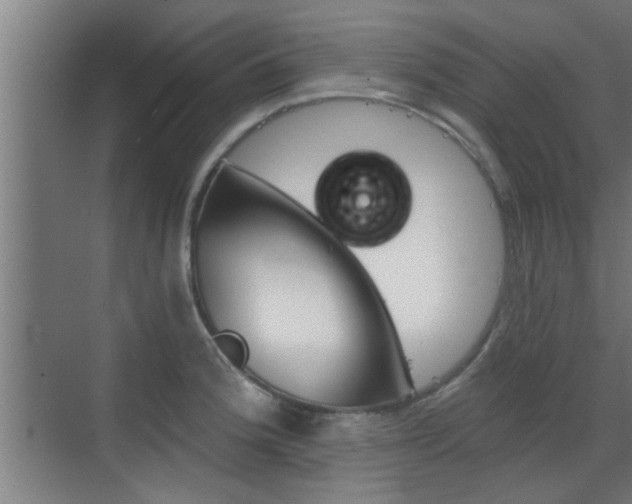 X0000070861188200606161002