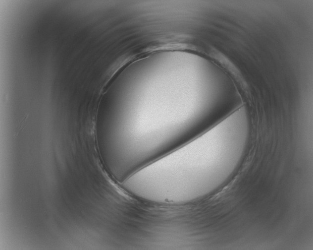 X0000070861193200606161002