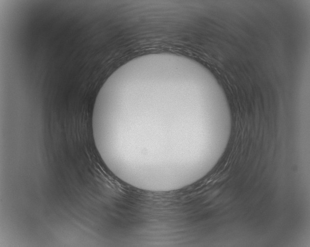 X0000070861202200606161001