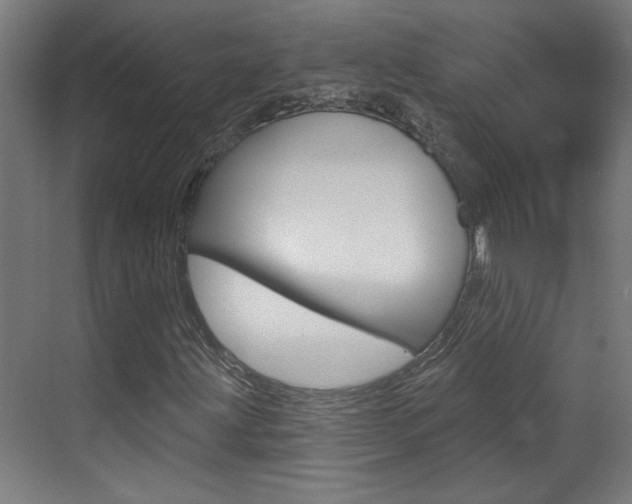 X0000070861203200606161001