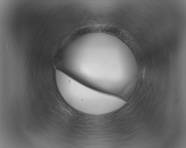 X0000070861204200606161001