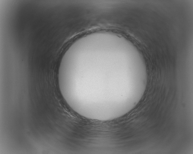 X0000070861206200606161001