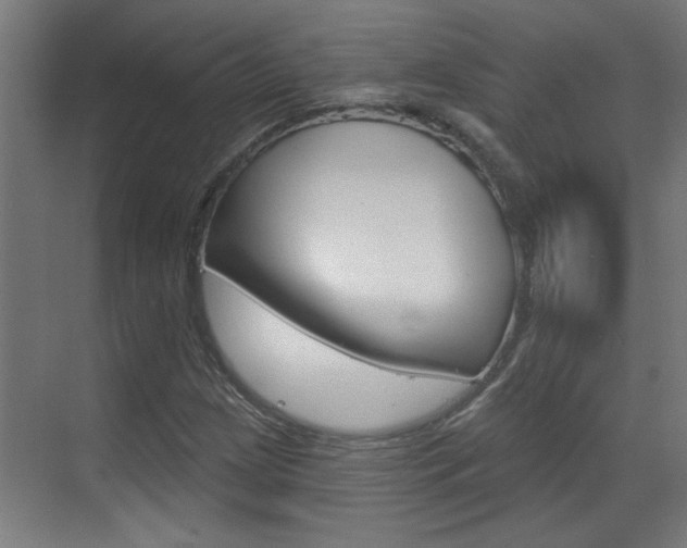 X0000070861209200606161002
