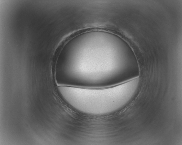 X0000070861214200606161002