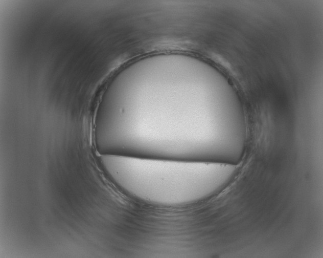 X0000070861219200606161002