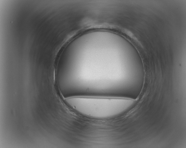 X0000070861221200606161002