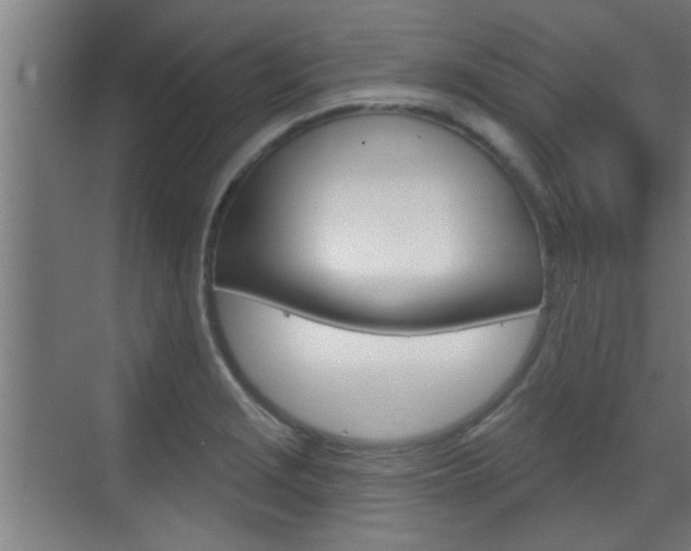 X0000070861229200606161002