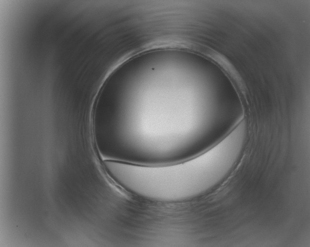 X0000070861242200606161002