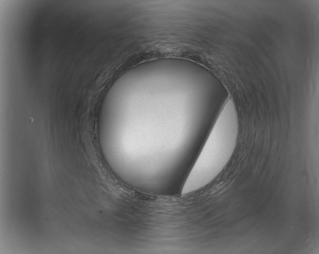 X0000070861249200606161001