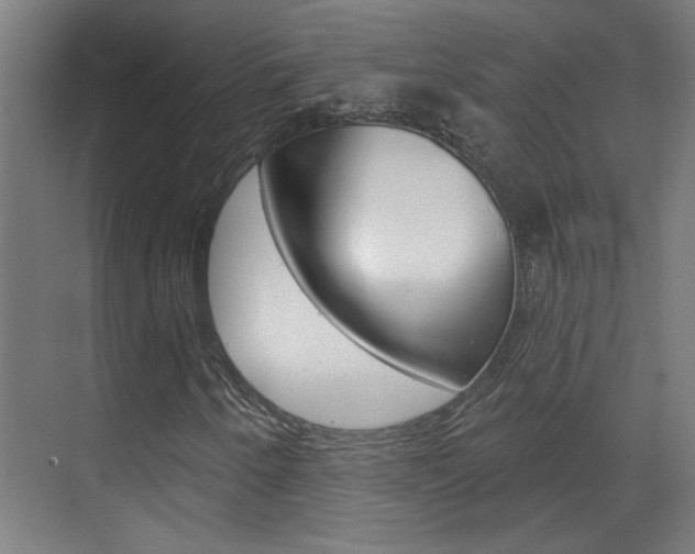 X0000070861250200606161001