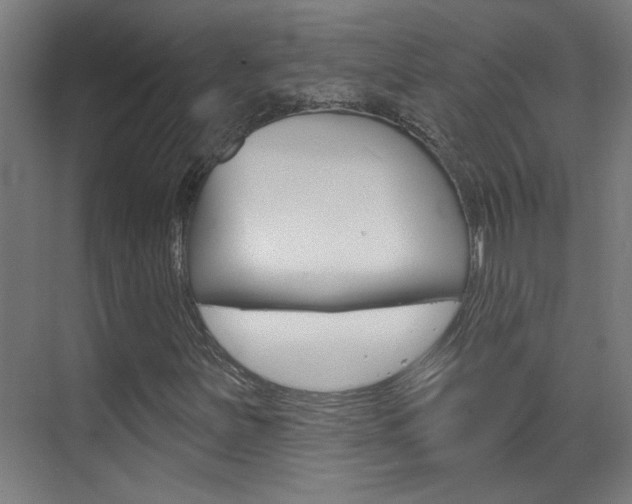 X0000070861251200606161001