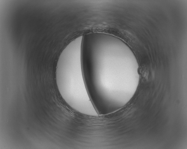 X0000070861252200606161001