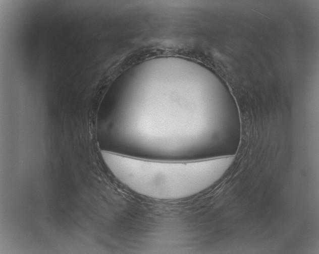X0000070861253200606161001