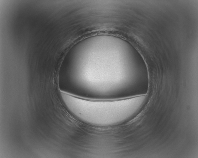 X0000070861257200606161001