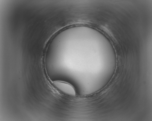 X0000070861260200606161001