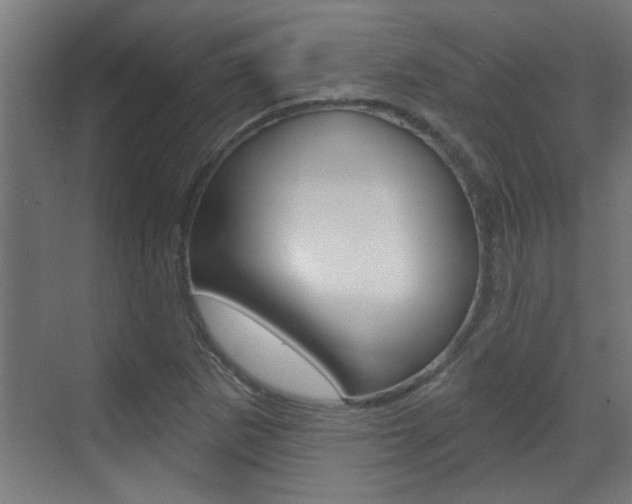X0000070861265200606161001
