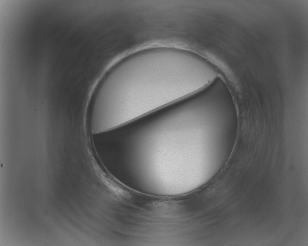 X0000070861272200606161001