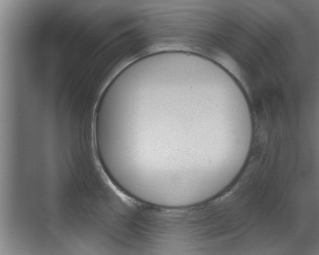 X0000070861290200606161001