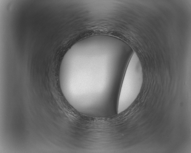 X0000070861297200606161000