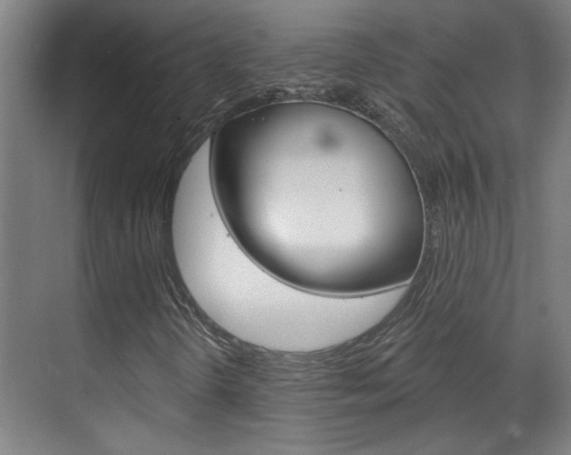 X0000070861298200606161000
