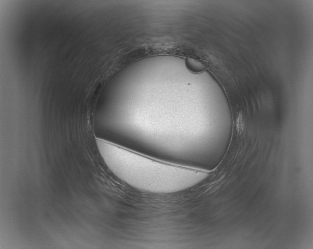 X0000070861299200606161000