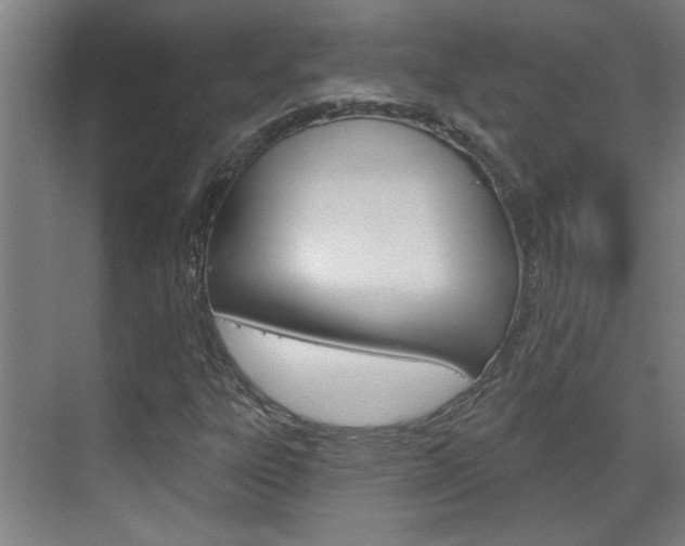 X0000070861303200606161000
