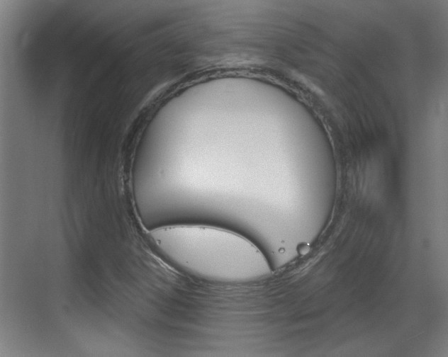 X0000070861306200606161000