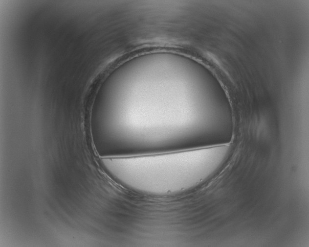 X0000070861307200606161000