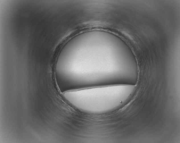 X0000070861309200606161000