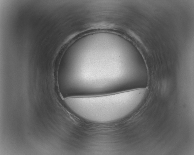 X0000070861315200606161000