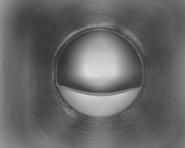 X0000070861316200606161000