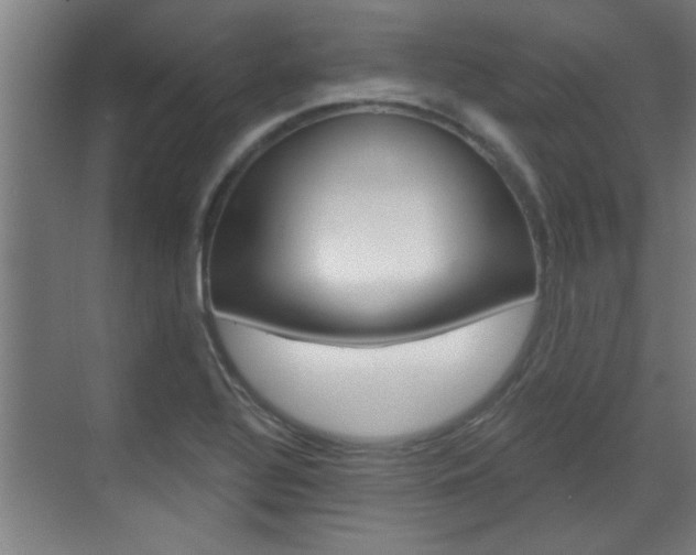X0000070861320200606161000
