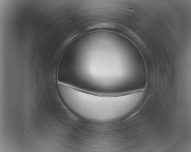 X0000070861321200606161000