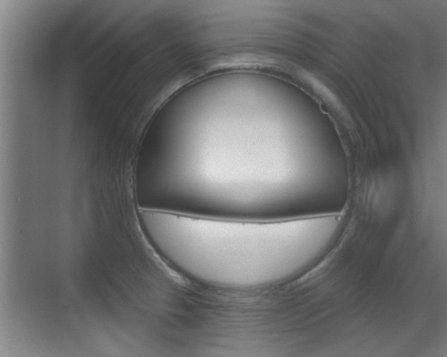 X0000070861329200606161000