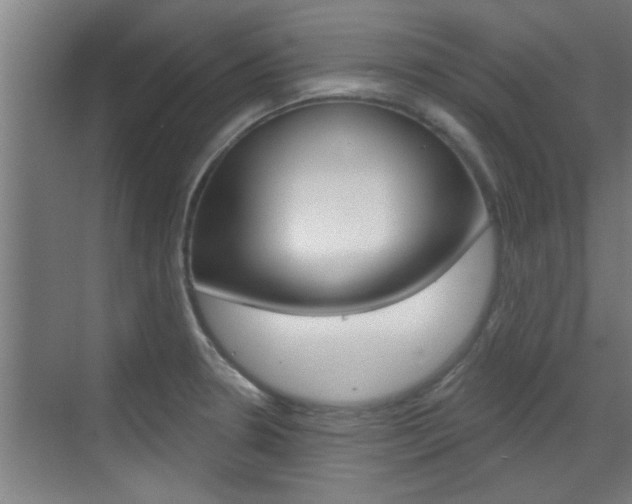 X0000070861330200606161000