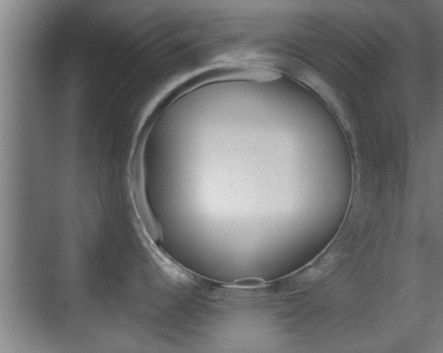 X0000070861344200606161001
